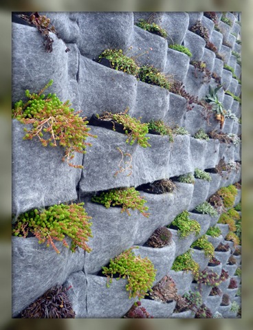 Right corner plant wall