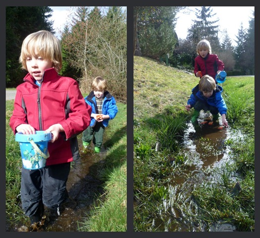 Floating Boats Collage