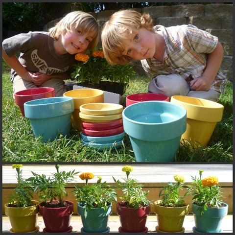 Boys and Flowers Collage