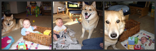 Cody and Rosy Collage