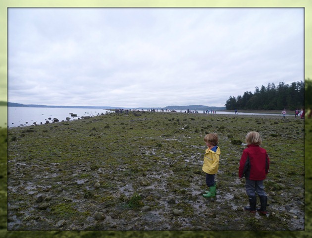 Field Trip Low Tide