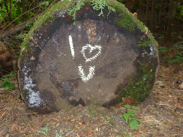 Forest Graffiti 