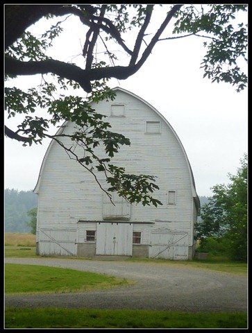 Nisqually Barn 1