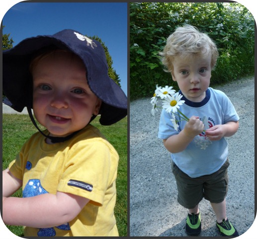 Carter little guy Collage