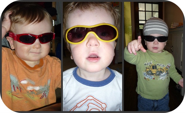 Carter Sunglasses Collage 1