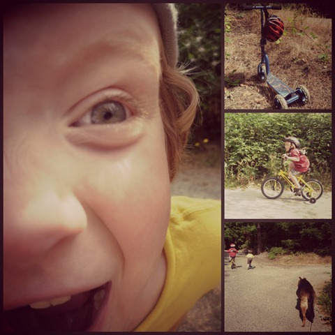 SS Lazy days Collage