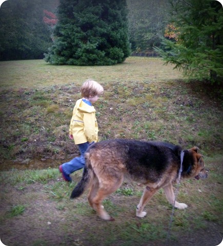 Dexter walking with Carter