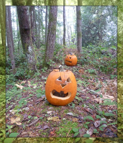 Jack o lanterns 2012