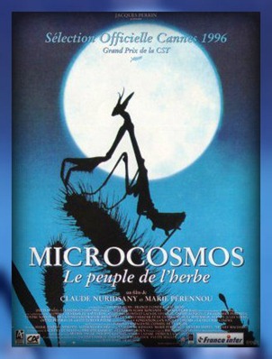 MicroCosmos