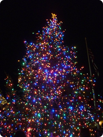 Town Christmas tree