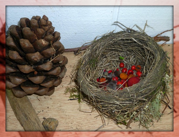 Collections in a Nest