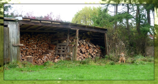 Visit - Barn with wood