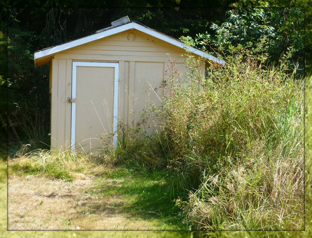 Visit - the well house