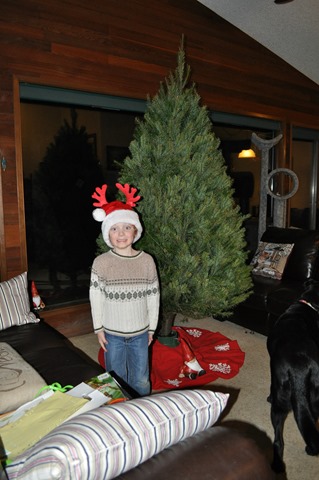 Christmas tree trimming 1