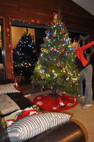 Christmas tree trimming 5