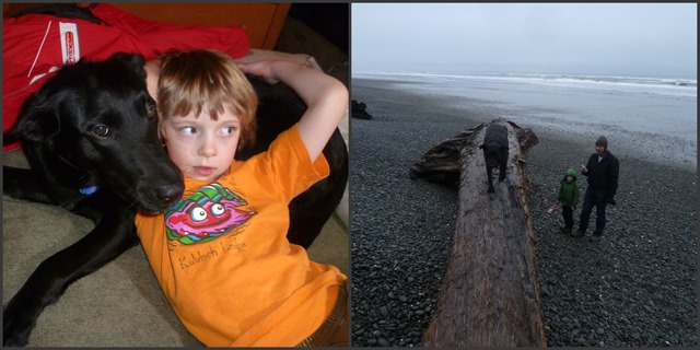 Kalalach Collage Haley 2 2014