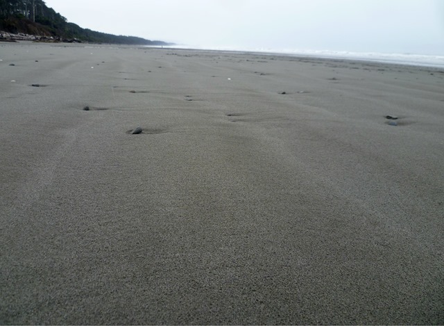 Kalaloch 2014 Sand