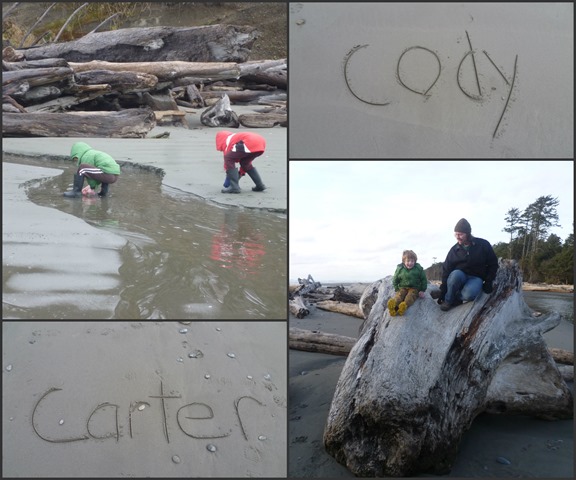 Kalaloch Collage 1 2014