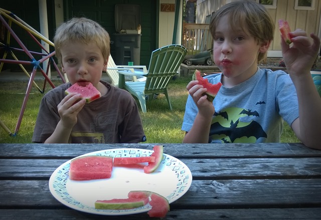 Watermelon Face Stuffing