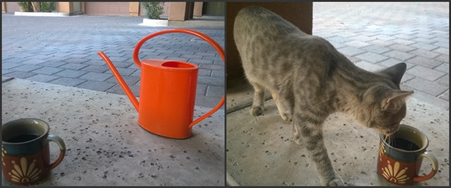 Gray and Coffee Collage