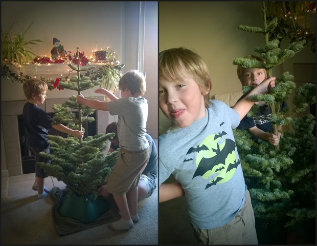 Boys with Tree Collage