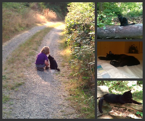 Delilah Collage 2014