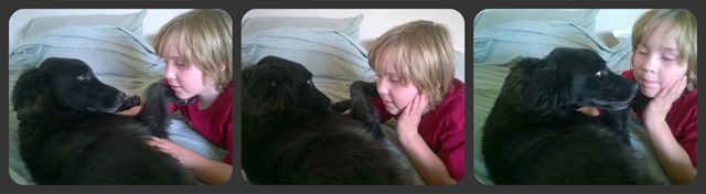 Cody and Sasha Collage