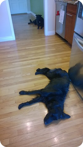 Together From a Distance