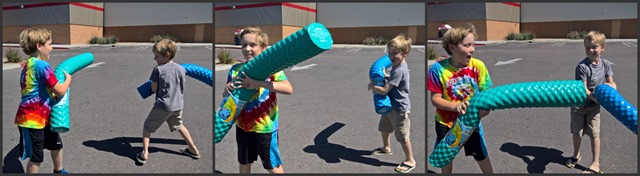 Pool Noodle Collage