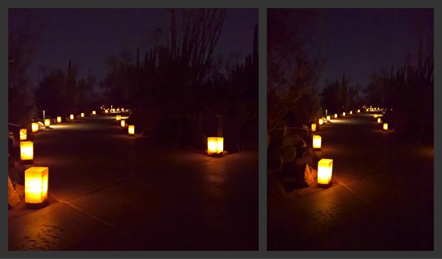 Luminaria Collage