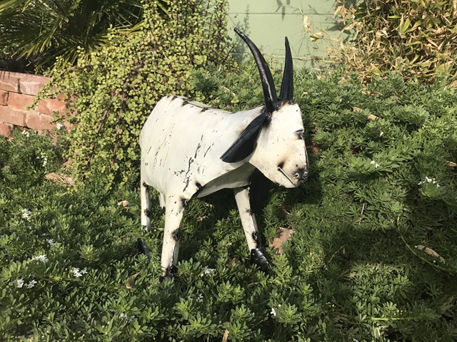 20170408_000311396_iOS