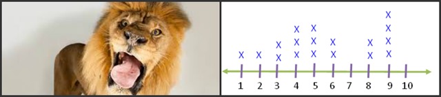 Line and Lion Plot Collage