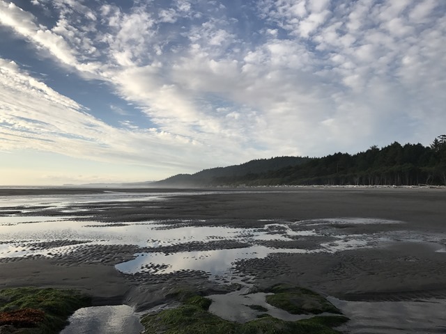 20170712_030642083_iOS