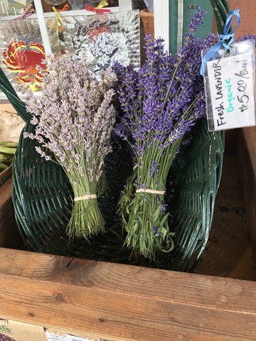 20170713_225426322_iOS