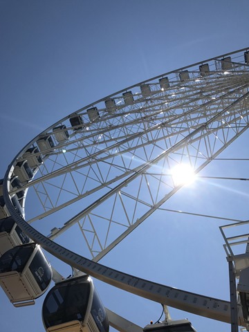 20170715_193839676_iOS