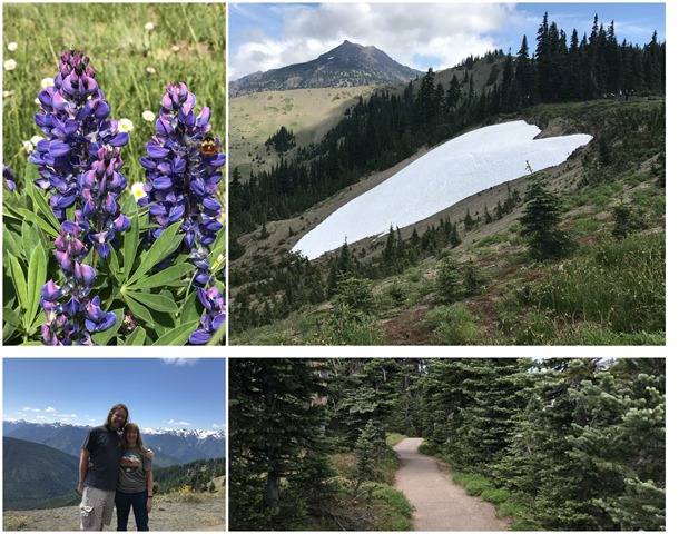 Hurricane Ridge Collage