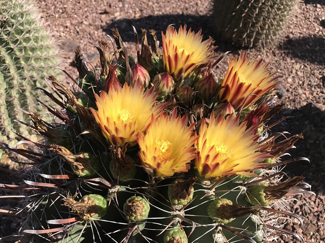 20170917_161119223_iOS