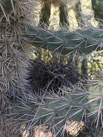 20170917_162332042_iOS