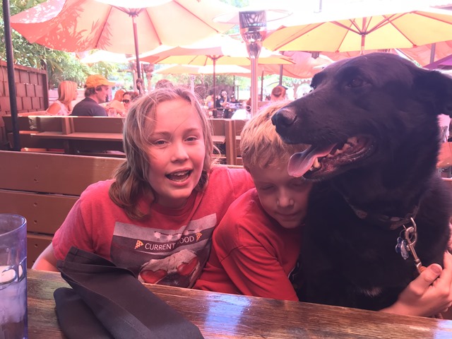 20180520_185933099_iOS